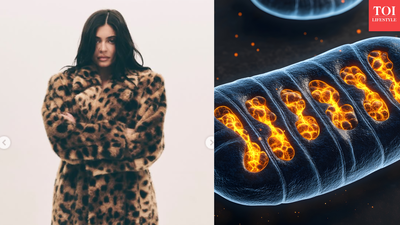 crédito: cambio La terapia con células madre de Kylie Jenner: el actor comparte cómo ayudó al dolor de espalda crónico después del embarazo