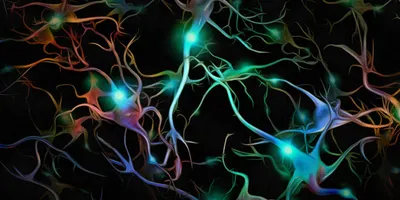 Una representación 3D de neuronas motoras iluminada en colores azul, morado, naranja y verde que muestra sinapsis sobre un fondo negro.