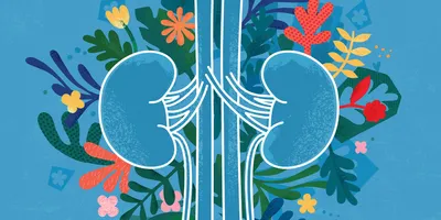 Una ilustración estilizada de riñones humanos dibujados con contornos blancos, sobre un fondo azul lleno de coloridas flores y hojas abstractas.