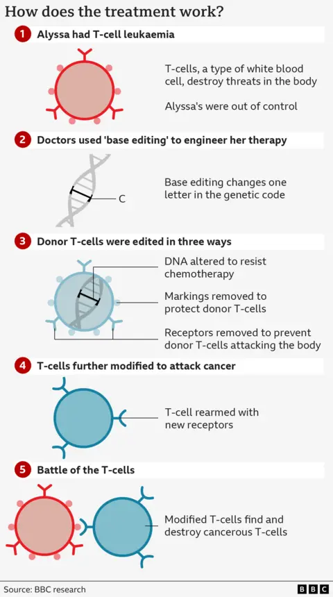 Un proceso de cinco pasos que muestra cómo funciona el tratamiento. La Figura 1 muestra una célula circular roja con estructuras en forma de Y en el exterior que representan células T cancerosas. La figura 2 muestra una torsión del ADN con un