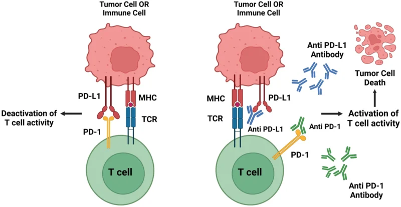 Mecanismo de acción de prolgolimab