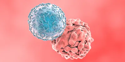Una ilustración digital que muestra una célula T atacando una célula cancerosa, lo que simboliza la promesa de las terapias inmunitarias para abordar las enfermedades.