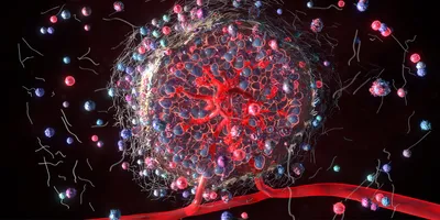 Se muestra un modelo 3D de un tumor con vasos sanguíneos rojos y puntos azules y rojos que muestran las numerosas células implicadas en el tumor, sobre un fondo negro.